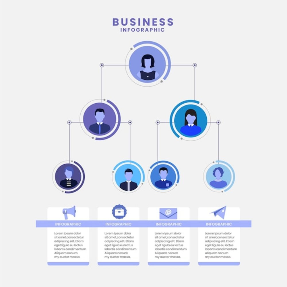 帶照片的平面組織結(jié)構(gòu)圖信息圖
