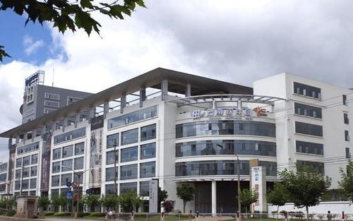 昆明彩之韻商務(wù)信息咨詢(xún) 專(zhuān)業(yè)服務(wù)助您商務(wù)騰飛